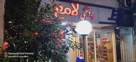 پروتین لامع